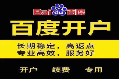 百度推广代理的投放策略及效果评估案例